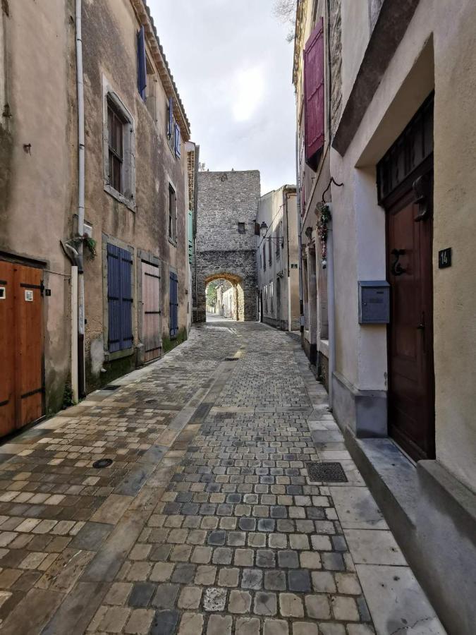 Le Coq Du Nord - Mailhac Gite Et Chambres D'Hotes Dış mekan fotoğraf